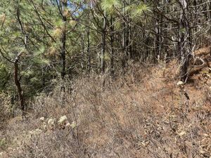 Terreno en Venta en Chitejé de la Cruz Amealco de Bonfil