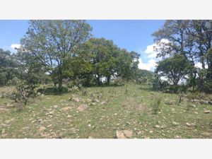 Terreno en Venta en Loma Linda Amealco de Bonfil