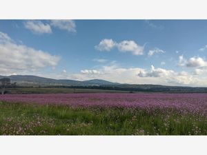 Terreno en Venta en Jacal de la Piedad Amealco de Bonfil