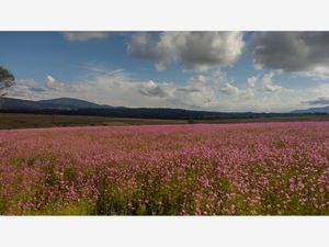 Terreno en Venta en Jacal de la Piedad Amealco de Bonfil