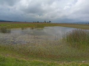 Terreno en Venta en La Soledad Amealco de Bonfil