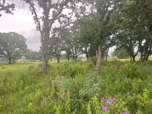 Terreno en Venta en Loma Linda Amealco de Bonfil