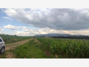 Terreno en Venta en Jacal de la Piedad Amealco de Bonfil