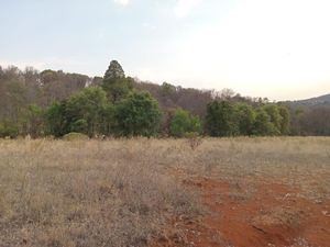 Terreno en Venta en Laguna de Servín Amealco de Bonfil