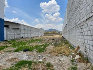 Terreno en Renta en Amealco de Bonfil Centro Amealco de Bonfil