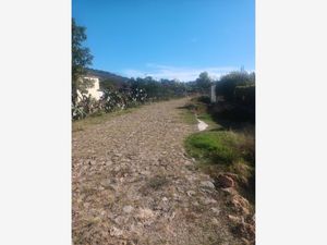 Terreno en Venta en El Saucito Amealco de Bonfil