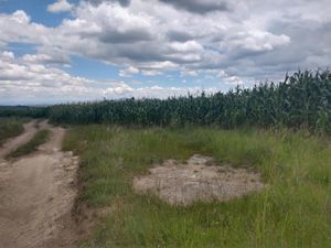 Terreno en Venta en La Laborcilla San Juan del Río