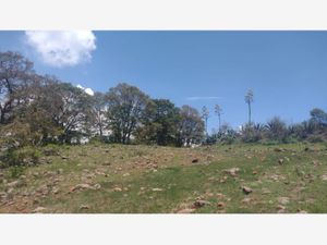 Terreno en Venta en Loma Linda Amealco de Bonfil