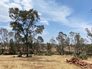 Terreno en Venta en San Bartolomé del Pino (San Bartolo) Amealco de Bonfil