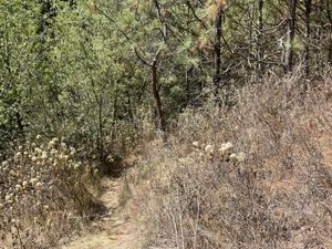 Terreno en Venta en Chitejé de la Cruz Amealco de Bonfil