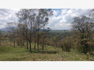 Terreno en Venta en Loma Linda Amealco de Bonfil