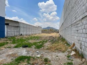 Terreno en Renta en Amealco de Bonfil Centro Amealco de Bonfil