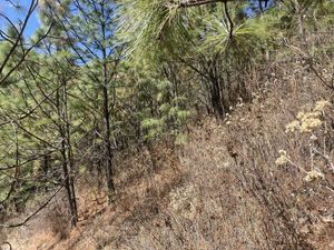 Terreno en Venta en Chitejé de la Cruz Amealco de Bonfil