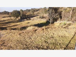 Terreno en Venta en San Miguel Dehetí Amealco de Bonfil