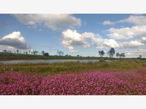 Terreno en Venta en Jacal de la Piedad Amealco de Bonfil