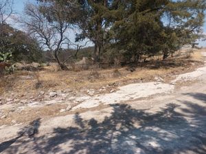 Terreno en Venta en San Joaquín Coscomatepec Aculco