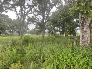 Terreno en Venta en Loma Linda Amealco de Bonfil