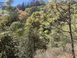 Terreno en Venta en Chitejé de la Cruz Amealco de Bonfil