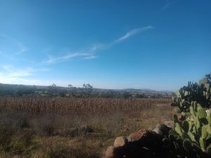 Terreno en Venta en El Saucito Amealco de Bonfil