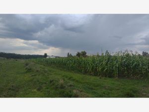 Terreno en Venta en Jacal de la Piedad Amealco de Bonfil