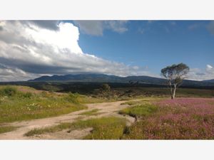 Terreno en Venta en Jacal de la Piedad Amealco de Bonfil