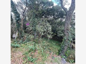 Terreno en Venta en Jardines del Ajusco Tlalpan