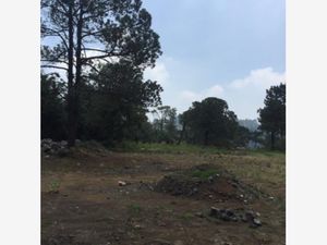 Terreno en Venta en Santo Tomas Ajusco Tlalpan