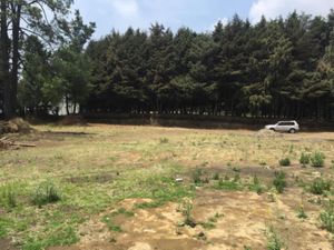 Terreno en Venta en Santo Tomas Ajusco Tlalpan