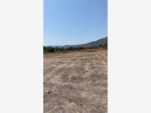 Terreno en Venta en Ticumán Tlaltizapán de Zapata