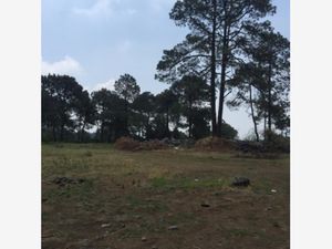 Terreno en Venta en Santo Tomas Ajusco Tlalpan