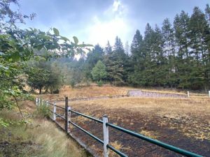 Terreno en Venta en Santo Tomas Ajusco Tlalpan