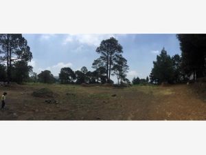 Terreno en Venta en Santo Tomas Ajusco Tlalpan