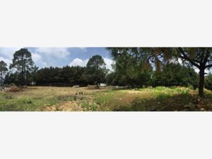 Terreno en Venta en Santo Tomas Ajusco Tlalpan