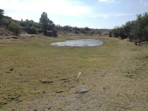 Finca/Rancho en Venta en El Pajarito Huimilpan