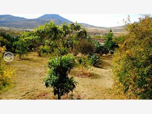 Finca/Rancho en Venta en El Pajarito Huimilpan