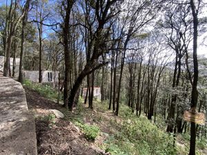 Terreno en Venta en Mineral del Monte Centro Mineral del Monte