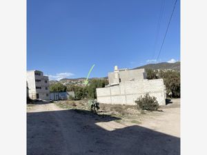 Terreno en Venta en Pueblo Nuevo Mineral de la Reforma