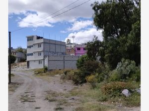 Terreno en Venta en Pueblo Nuevo Mineral de la Reforma