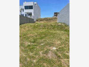 Terreno en Venta en Lomas de Angelópolis San Andrés Cholula