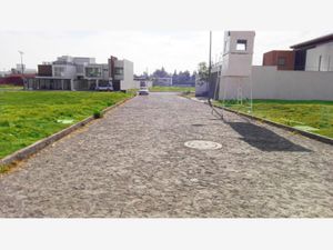 Terreno en Venta en Santa Cruz Guadalupe Puebla