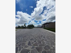 Terreno en Venta en Carlota Hacienda Vanegas Corregidora