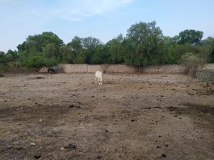 Terreno en Venta en Chapantongo Centro Chapantongo