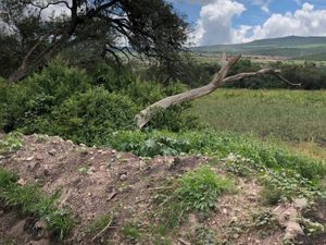 Terreno en Venta en San Antonio Calichar Apaseo El Alto