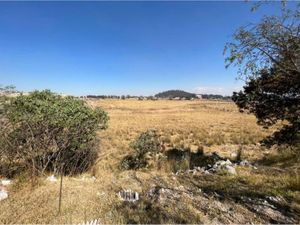 Terreno en Venta en San Bartolome Tlaltelulco Metepec