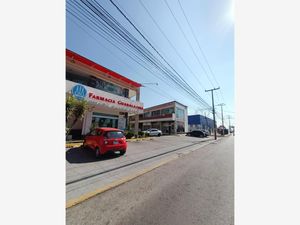 Terreno en Venta en San Miguel Zinacantepec Zinacantepec