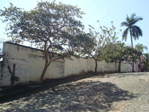 Terreno en Venta en Palmira Tinguindin Cuernavaca