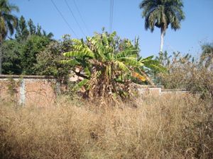 Terreno en Venta en Palmira Tinguindin Cuernavaca