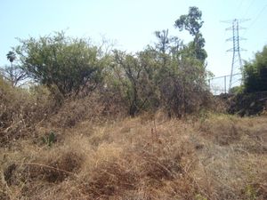 Terreno en Venta en Palmira Tinguindin Cuernavaca