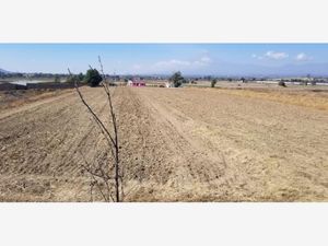 Terreno en Venta en Santa Maria Zacatepec Juan C. Bonilla