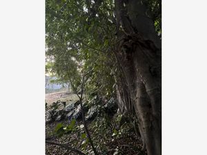 Terreno en Venta en Las Granjas Cuernavaca